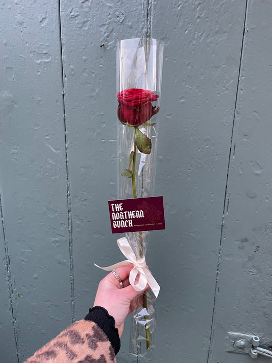 VALENTINE’S DAY PRE-ORDER - Single Rose